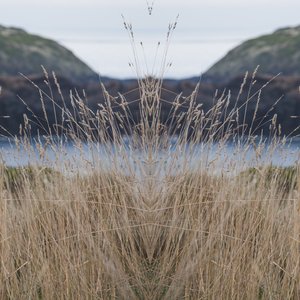 Coastal Plains