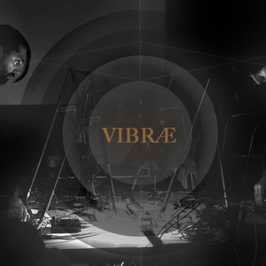 VIBRÆ 的头像