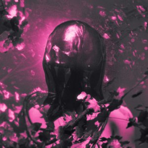 FLESH AND BONE [Explicit]