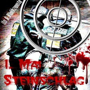 “1.Mai Steinschlag”的封面