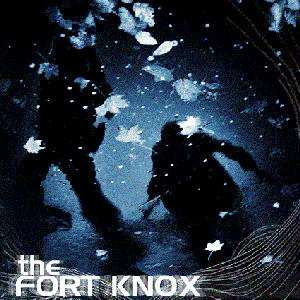 Image for 'The Fort Knox'