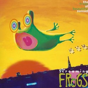 The frogs at beautiful sunset
