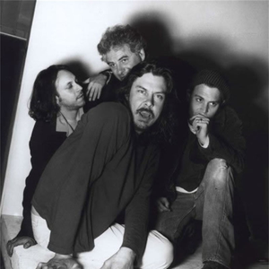 P photo provided by Last.fm