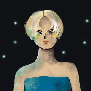 velvet motel