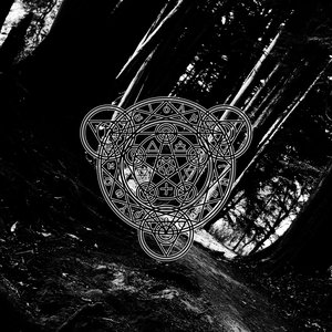 Wood Within