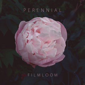 Perennial