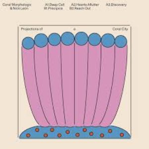 Projections of a Coral City - EP