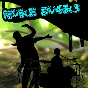 Avatar for Nuke Ducks