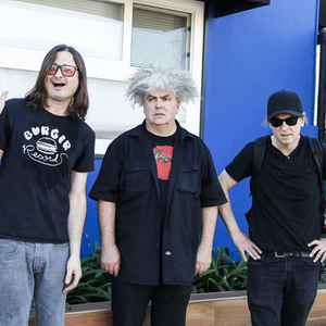 The Melvins  live