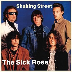 Shaking Street