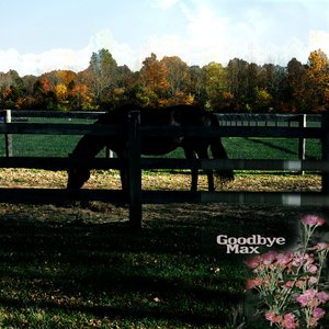 Goodbye Max [Explicit]