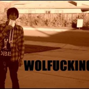 Wolfuckingang 的头像