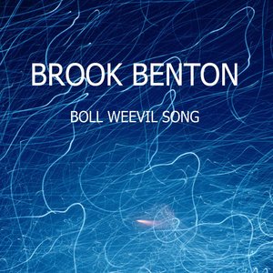 Boll Weevil Song