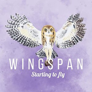 Starting to Fly (Wingspan Original Video Game Soundtrack)