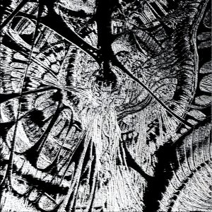 i guess this is it the bcmcore