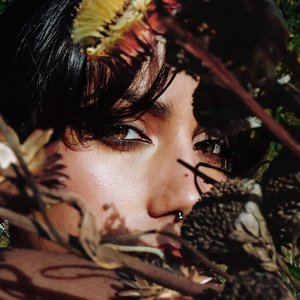 in for the kill - Single