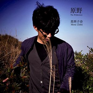 The Wilderness (Remastering in Japan)