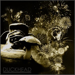 DuckHead 的头像