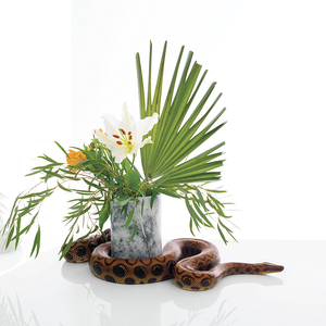 Noah Gundersen - White Noise - Zortam Music