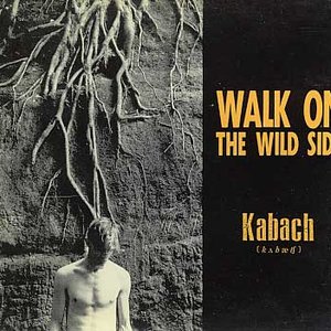kabach 的头像
