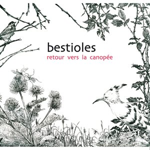 Bestioles - Retour vers la Canopée