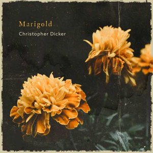 Marigold