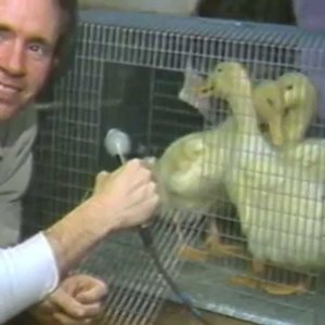 Avatar for Peter Ivers