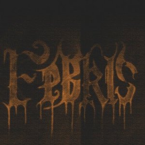 febris 的头像
