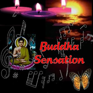 Buddha Sensation (Gold the best)
