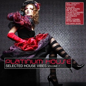 Platinum House, Vol. 7 (Selected House Vibes)