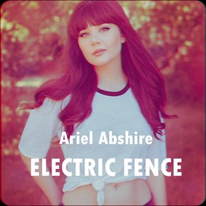 Electric Fence