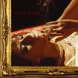 Team Sleep cover
