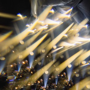 Avatar für Yella Gin