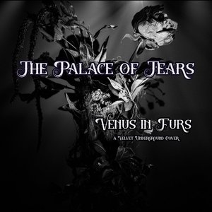 Venus In Furs