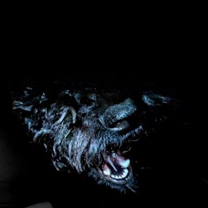 Avatar for Dwynell Roland, P.O.S & YATA