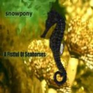 A Fistful of Seahorses