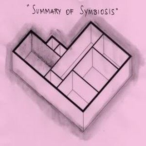Summary of Symbiosis