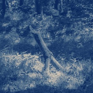 Al suo riposo, In luce