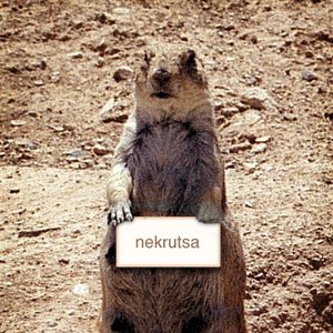 Nekrutsa 的头像