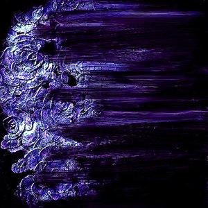 “Tranquil Nightmares”的封面