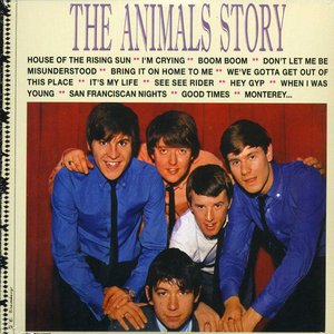 The Animals Story