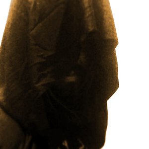 Avatar for Vermin Lord