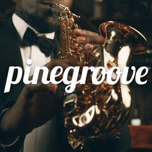 pinegroove için avatar