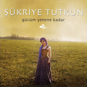 Gücüm Yetene Kadar cover