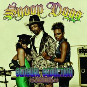 Snoop Dogg - Sensual Seduction Remixes - Zortam Music
