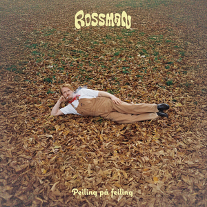 Cover von Peiling på feiling