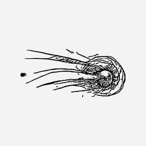 Collide