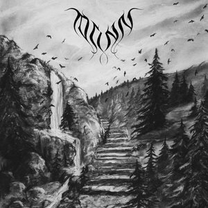 The Forest