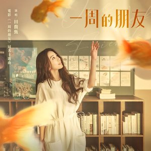 一周的朋友 (電影《一周的朋友》主題曲)