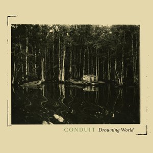 Drowning World